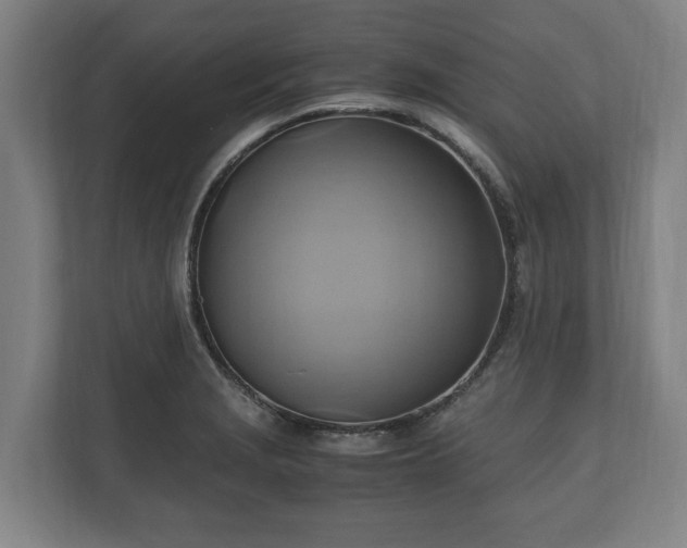 X0000110971229200906261401