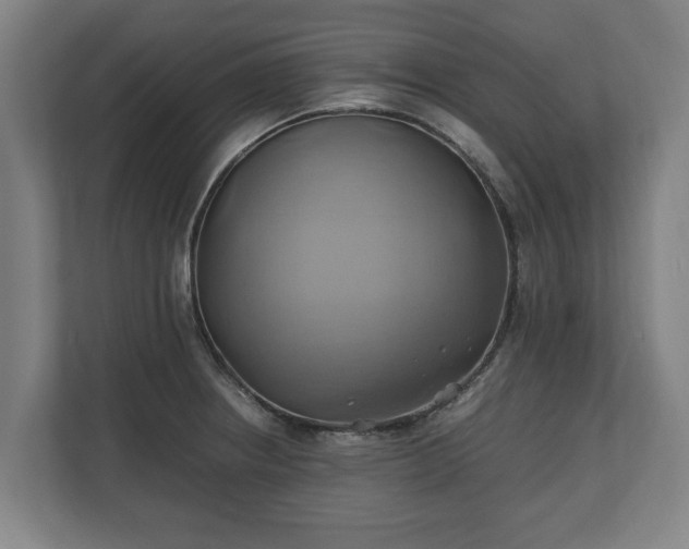 X0000110971234200906261401