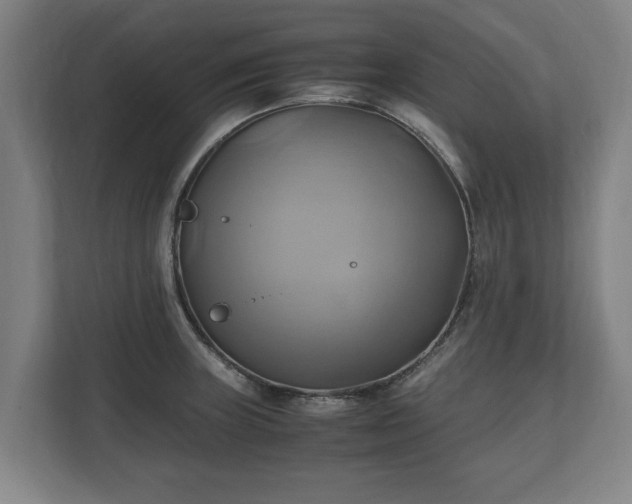 X0000110971235200906261401