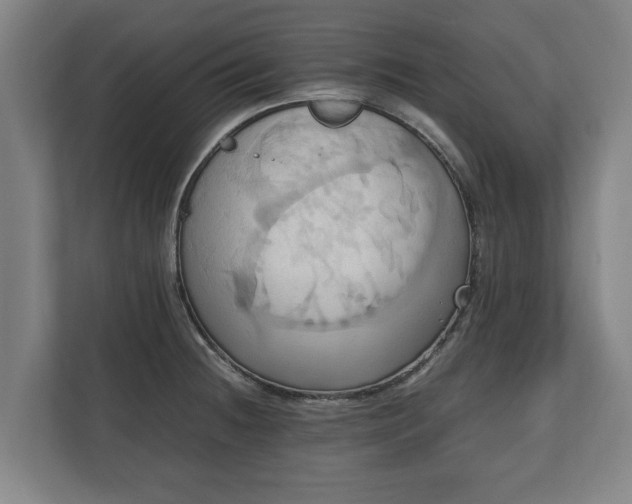 X0000110971236200906261401