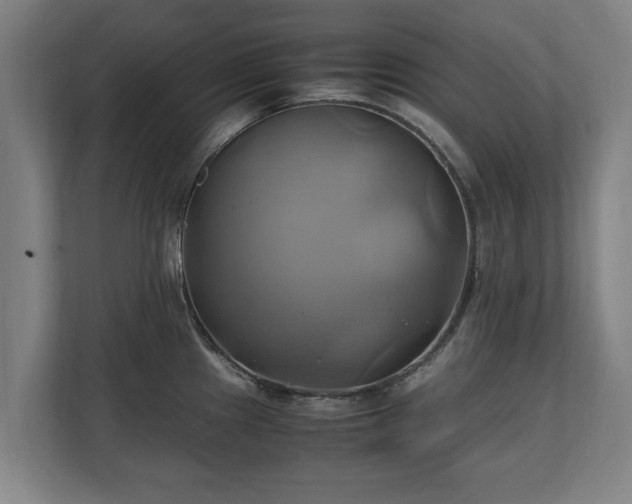 X0000110971241200906261401