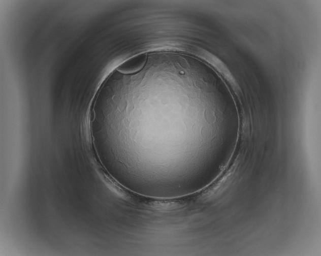 X0000110971242200906261401