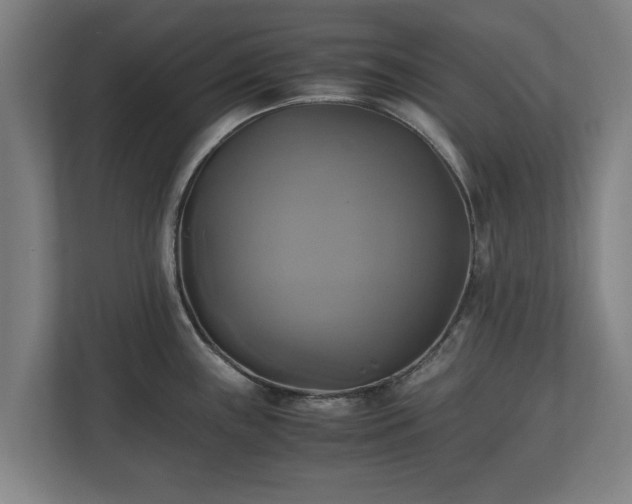 X0000110971243200906261401