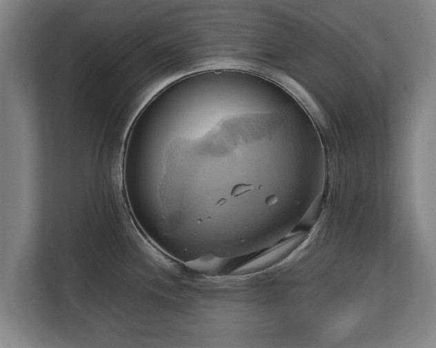 X0000110971244200906261401