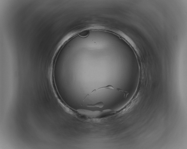 X0000110971245200906261401