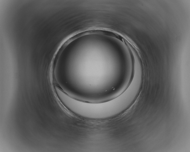 X0000110971246200906261401