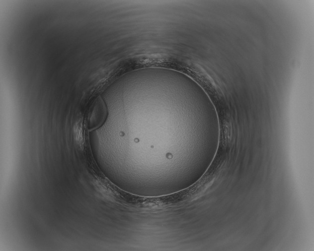 X0000110971250200906261401