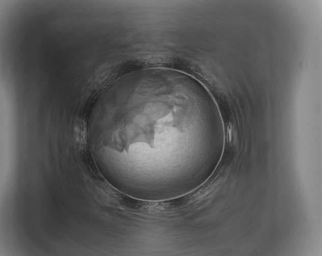 X0000110971251200906261401