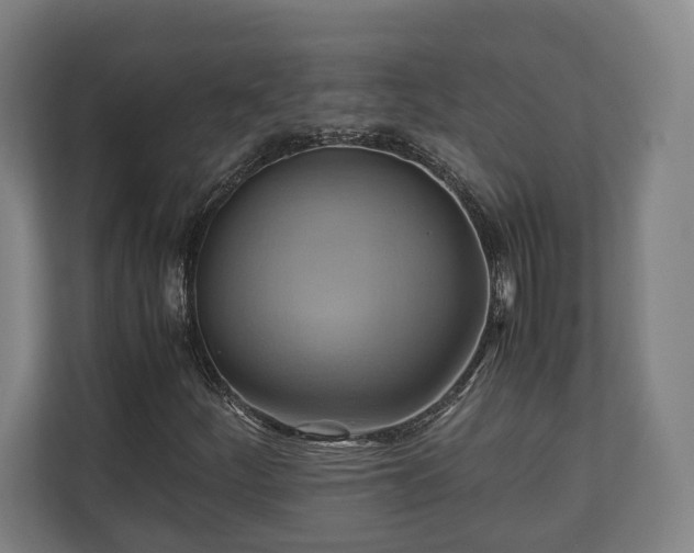 X0000110971252200906261401