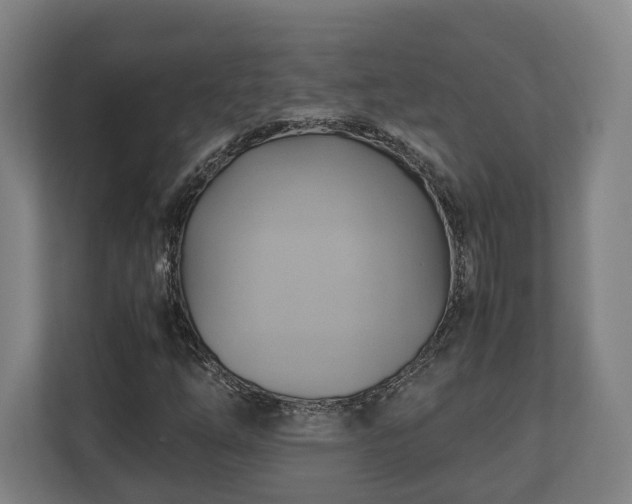 X0000110971254200906261401