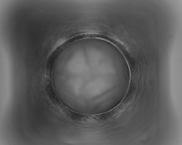 X0000110971255200906261401