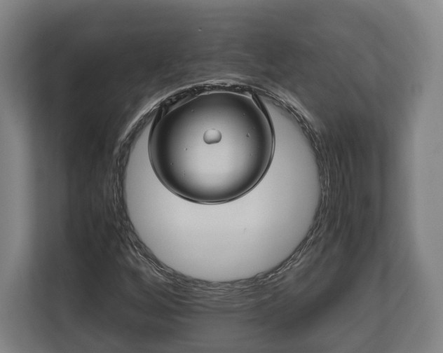 X0000110971256200906261401