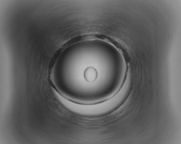 X0000110971257200906261401