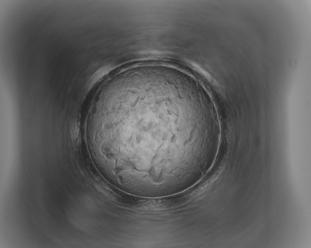 X0000110971259200906261401