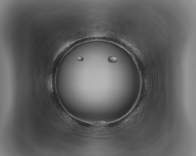 X0000110971262200906261400