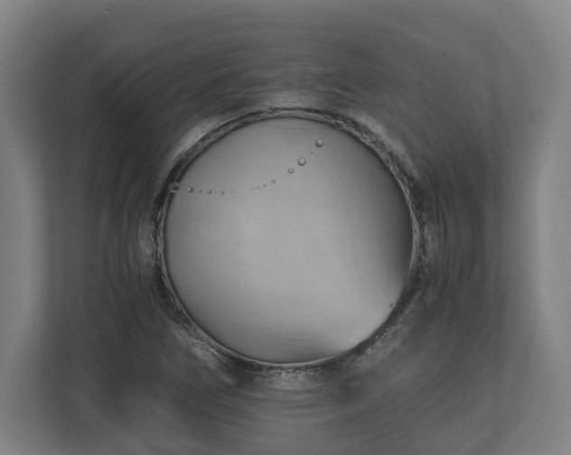 X0000110971266200906261400