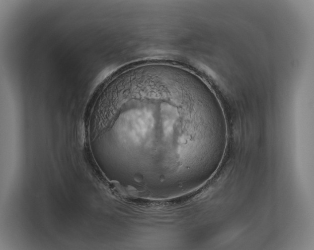 X0000110971267200906261400