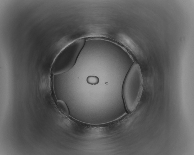 X0000110971268200906261400