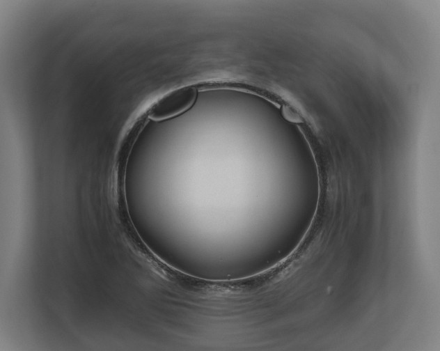 X0000110971270200906261400