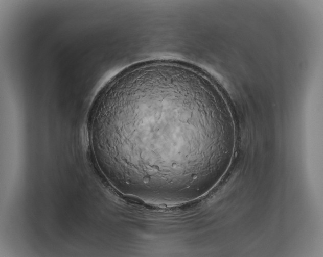 X0000110971271200906261400