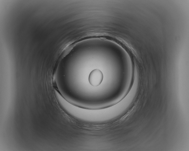 X0000110971273200906261400