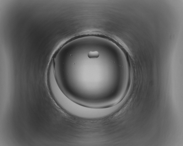 X0000110971277200906261400