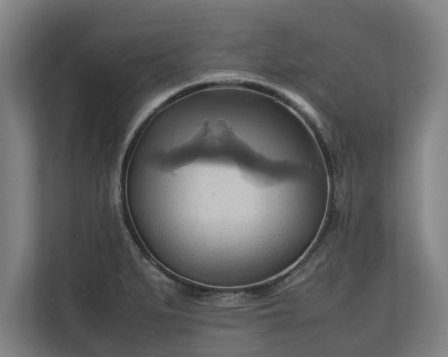 X0000110971279200906261400