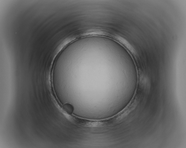 X0000110971282200906261400