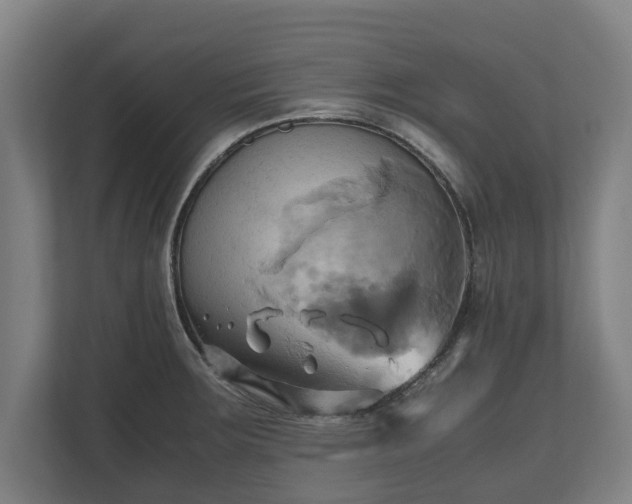 X0000110971283200906261400