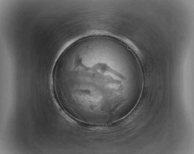 X0000110971287200906261400