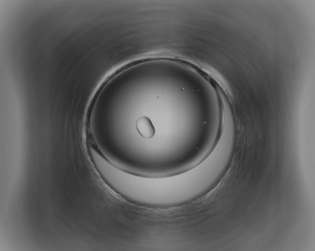 X0000110971288200906261400