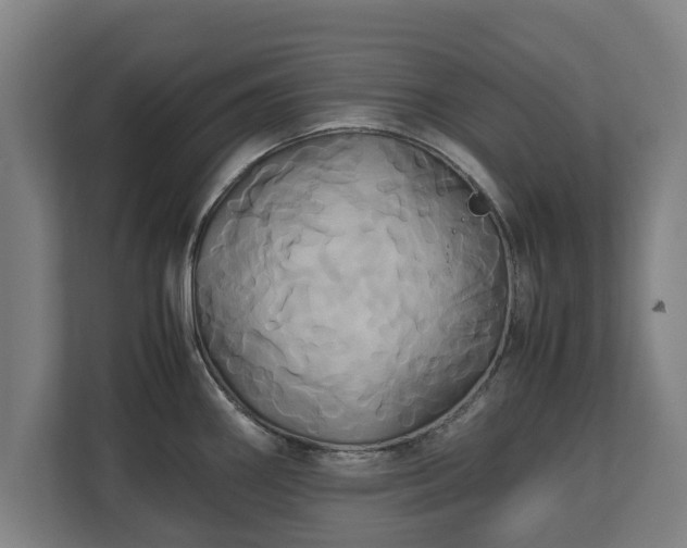 X0000110971290200906261400