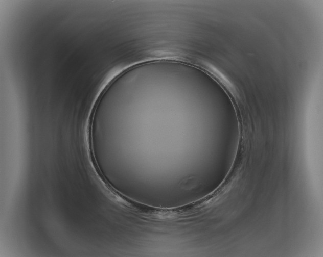 X0000110971291200906261400