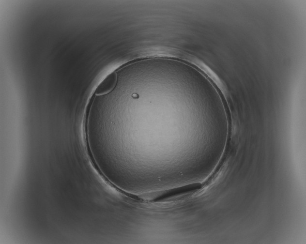 X0000110971293200906261400