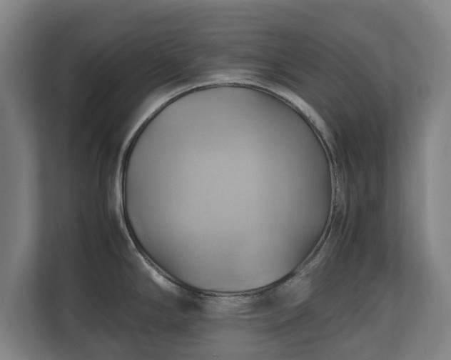 X0000110971294200906261400