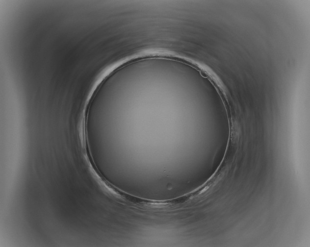 X0000110971295200906261400