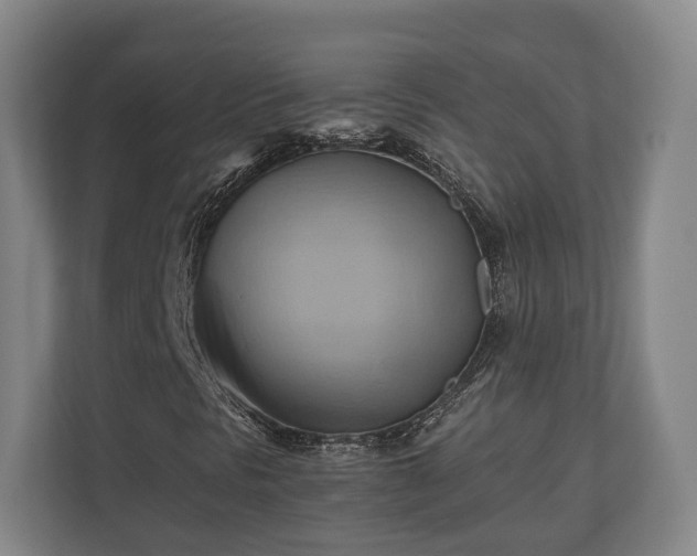 X0000110971297200906261359