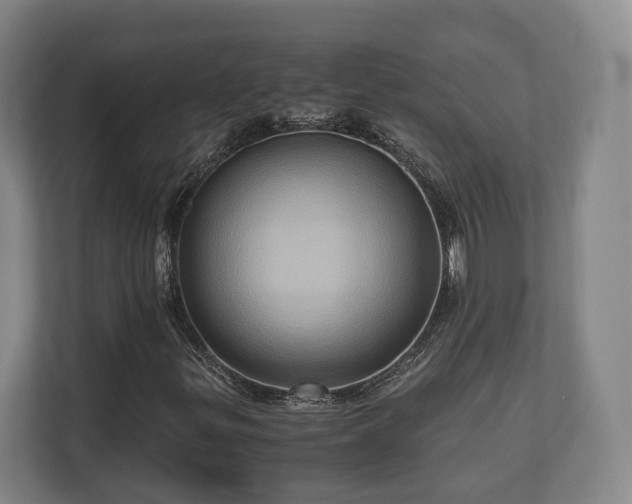 X0000110971299200906261359