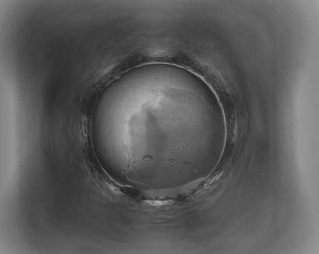 X0000110971301200906261359