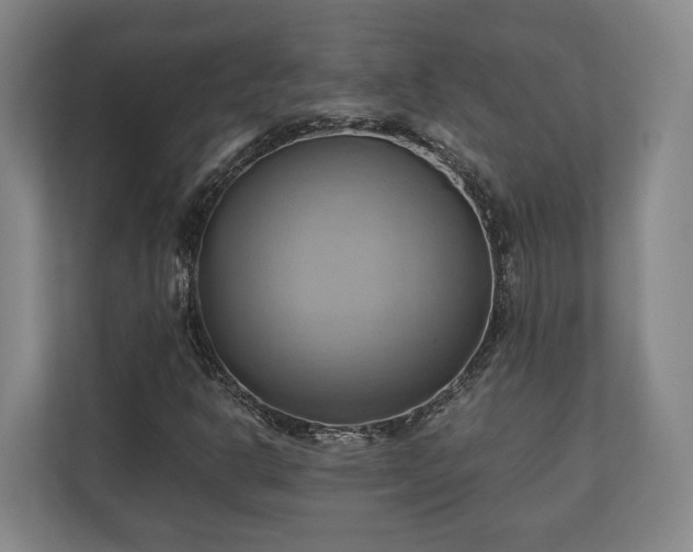 X0000110971302200906261359