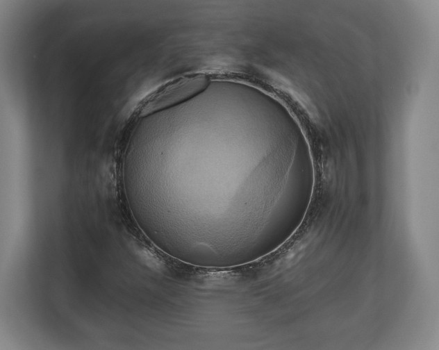 X0000110971304200906261359