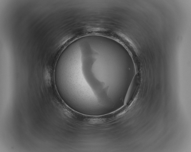 X0000110971305200906261359