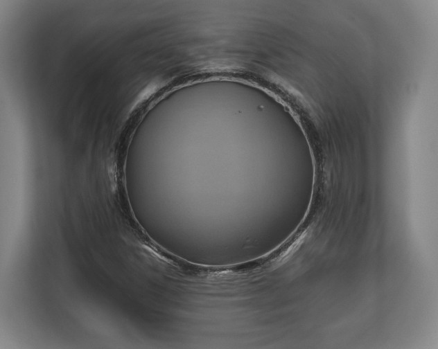 X0000110971306200906261359