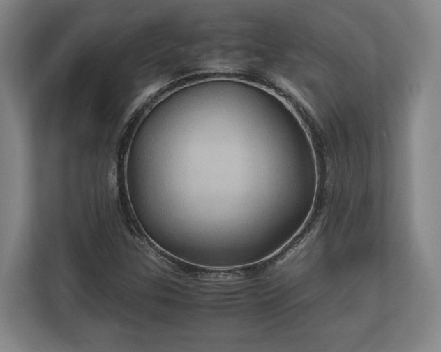 X0000110971307200906261359