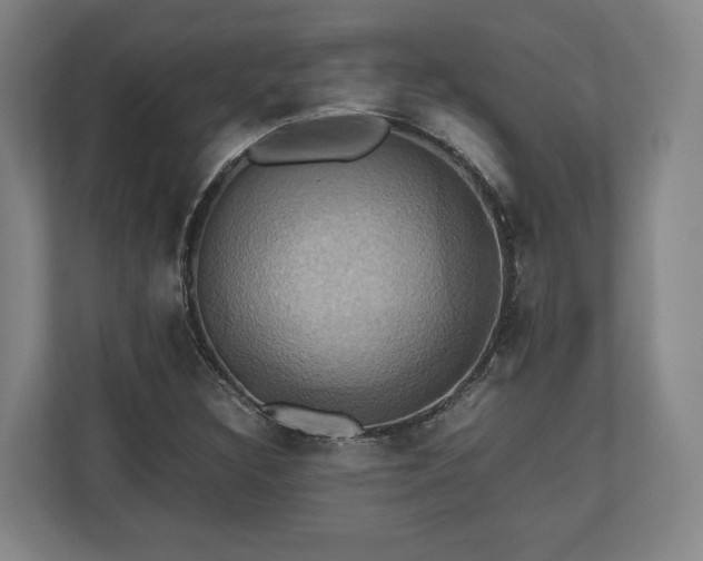 X0000110971308200906261359