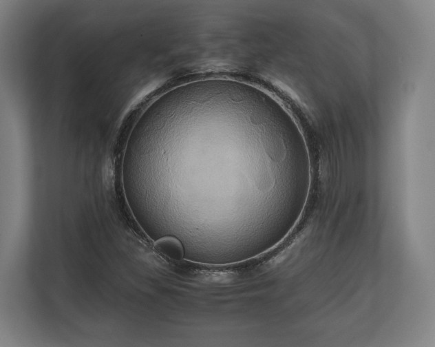 X0000110971309200906261359