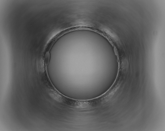 X0000110971310200906261359