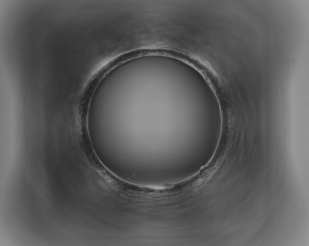 X0000110971311200906261359