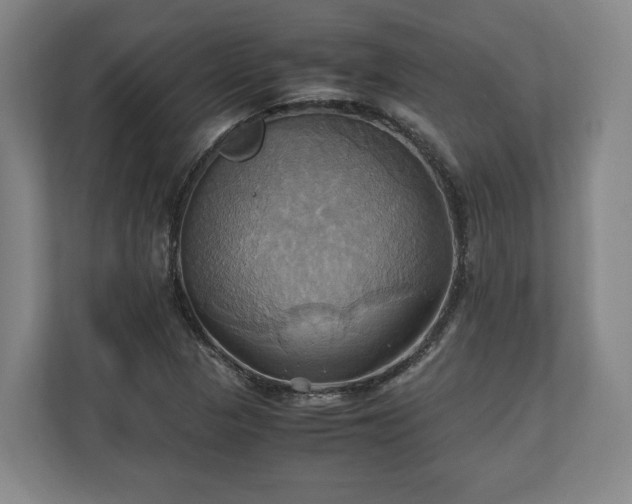 X0000110971313200906261400