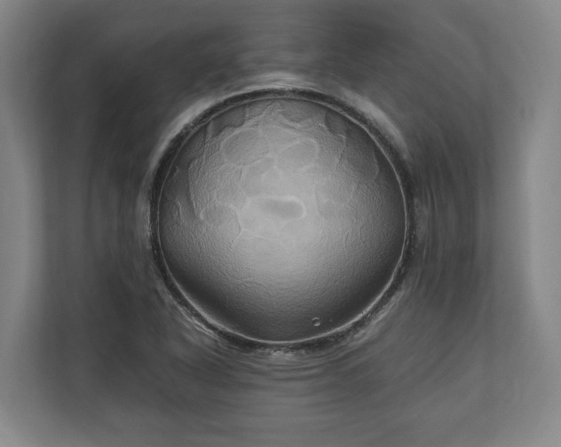 X0000110971318200906261400